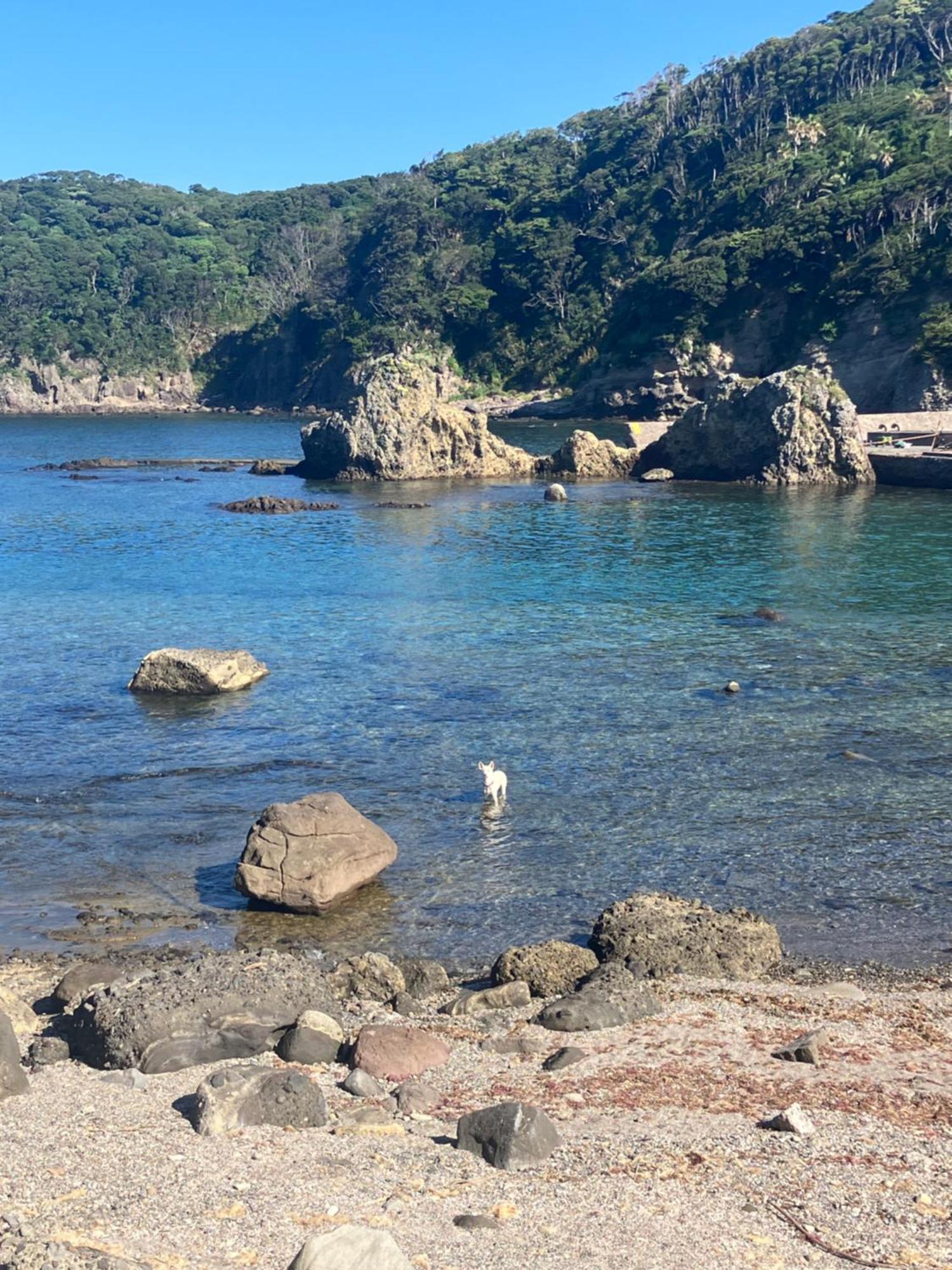 貸別荘吉佐美苑 Shimoda  Esterno foto
