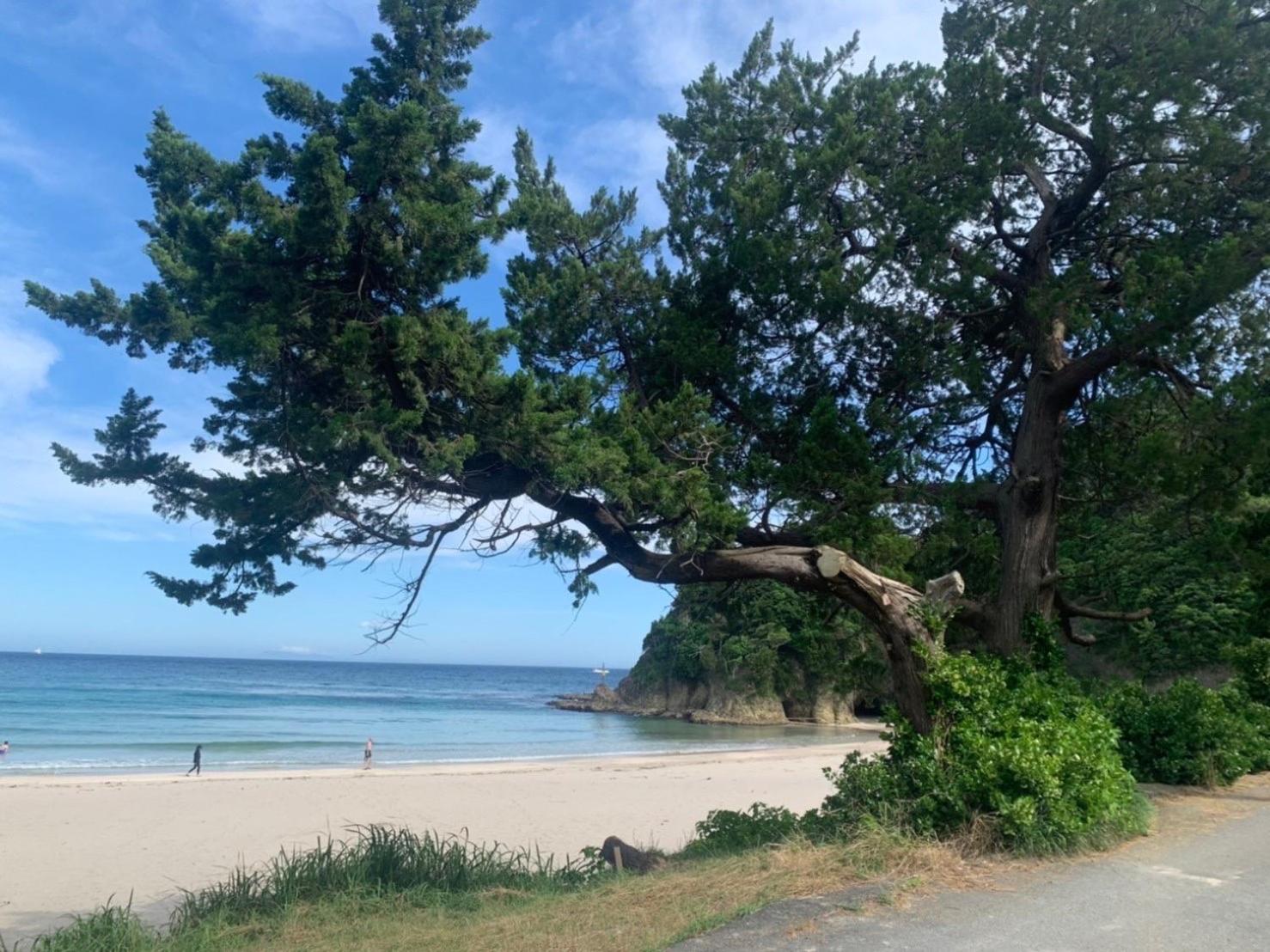 貸別荘吉佐美苑 Shimoda  Esterno foto